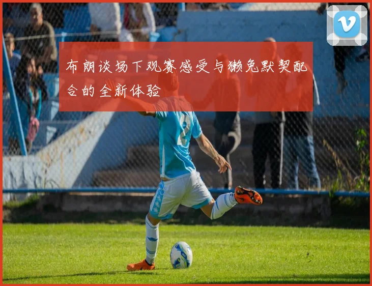 布朗谈场下观赛感受与獭兔默契配合的全新体验