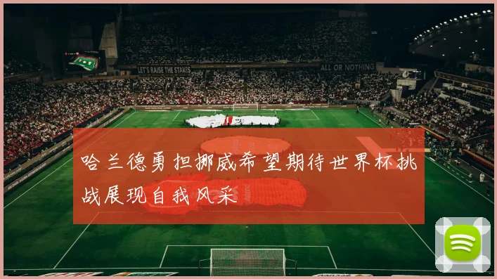 哈兰德勇担挪威希望期待世界杯挑战展现自我风采