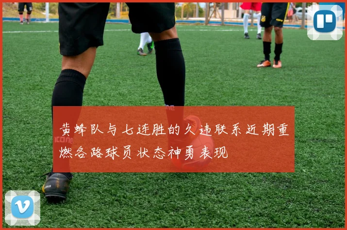黄蜂队与七连胜的久违联系近期重燃各路球员状态神勇表现