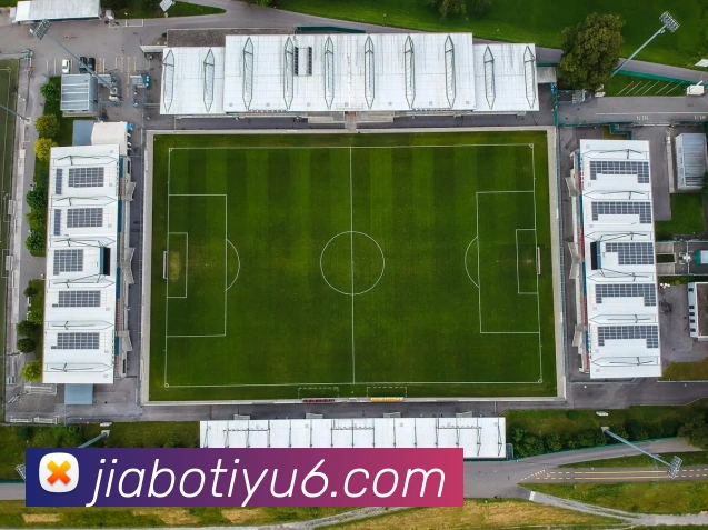 未来规划